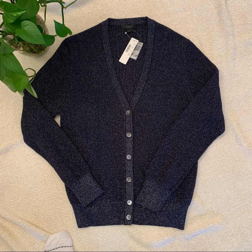 JCrew Metallic Rib Sweater